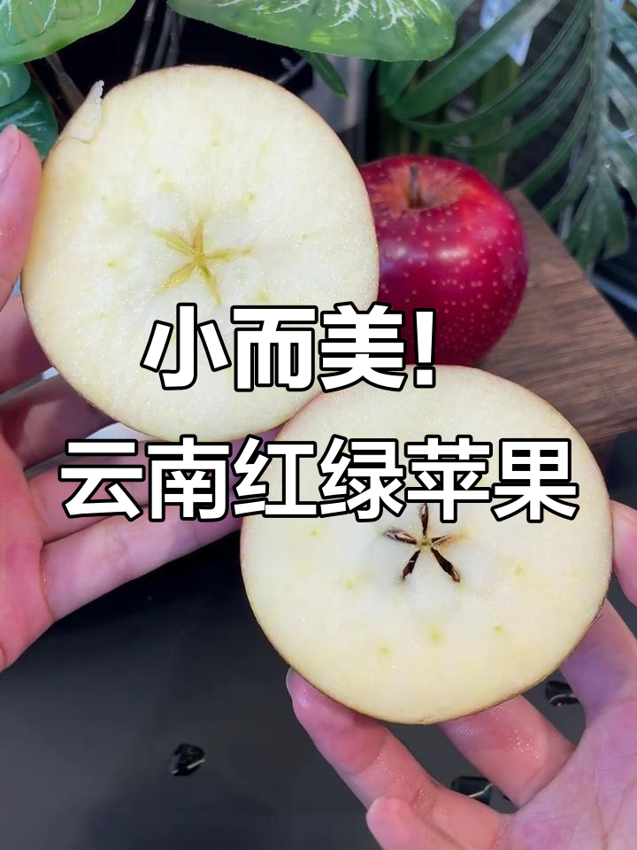 昭通版小苹果歌曲(歌曲小苹果视频)-第4张图片-有道翻译官网 昭通版小苹果歌曲(歌曲小苹果视频)-第4张图片-有道翻译官网