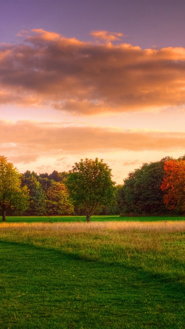 日出软件苹果版下载(日出直播网站苹果下载)-第10张图片-有道翻译官网 日出软件苹果版下载(日出直播网站苹果下载)-第10张图片-有道翻译官网