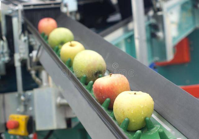 农场成长苹果版破解:苹果“国家队”落子蓬莱-第1张图片-太平洋在线下载