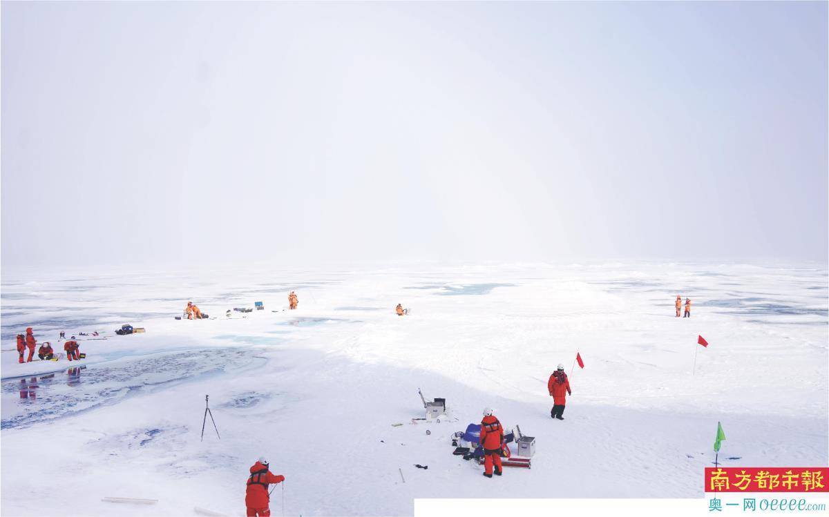 “雪龙2”极地破冰遇熊出没 北极天空经常雾蒙蒙-第2张图片-太平洋在线下载