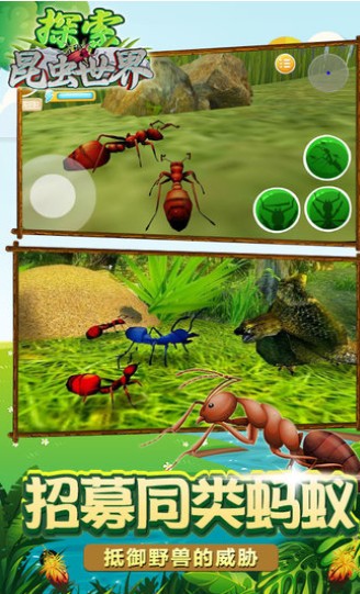 昆虫游戏安卓打异形虫子的单机游戏-第1张图片-太平洋在线下载